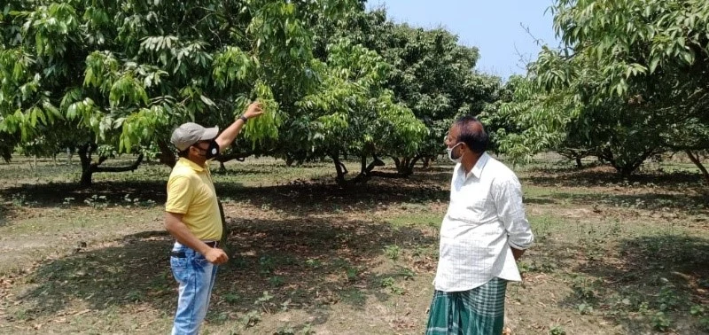 Focusing on Commercial Orchard through Personal Communication